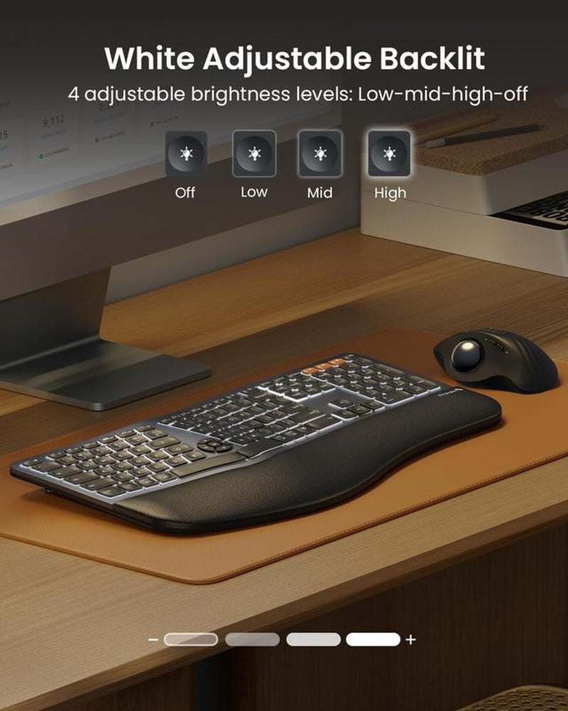 Protoarc Backlit Bluetooth Ergonomic Keyboard, EK01 plus Full Size Wireless Split Keyboard with Dual Bluetooth and USB, Cushioned Wrist Rest, Rechargeable, Compatible with Windows/Mac/Android